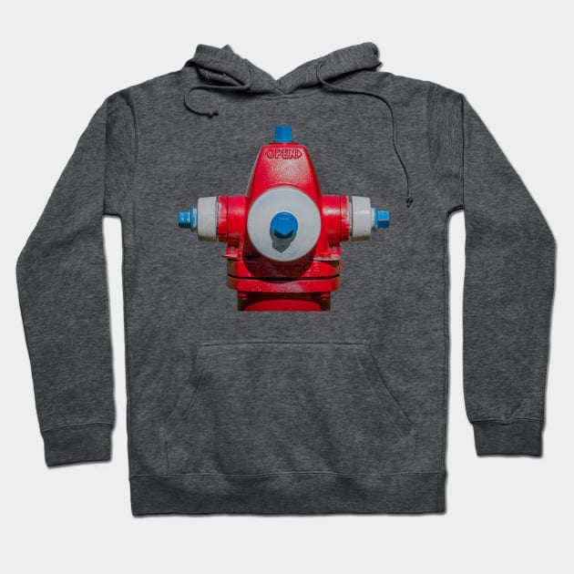 Front Facing Waterous Fire Hydrant Hoodie by Enzwell